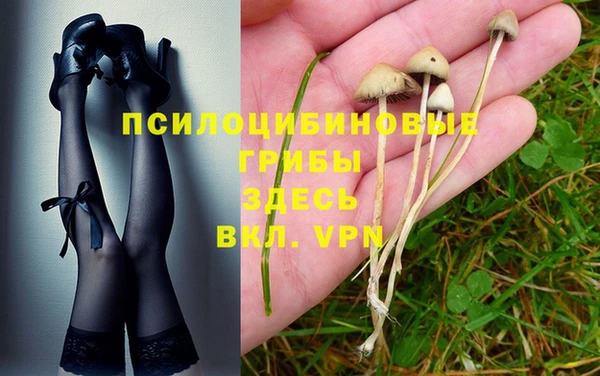 прущая мука Куйбышев