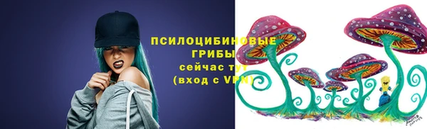 соль ск Липки