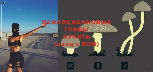 хмурый Лиски
