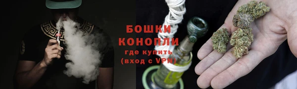 хмурый Лиски