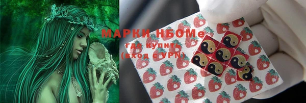 соль ск Липки