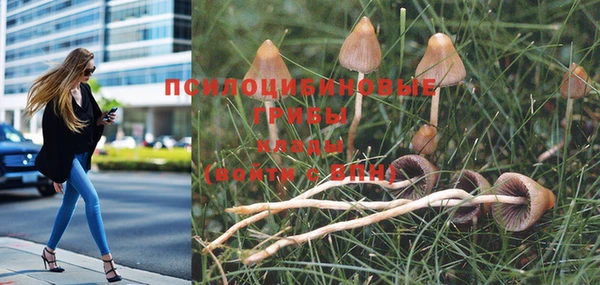 хмурый Лиски