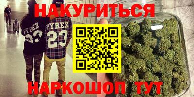 амф Гусев